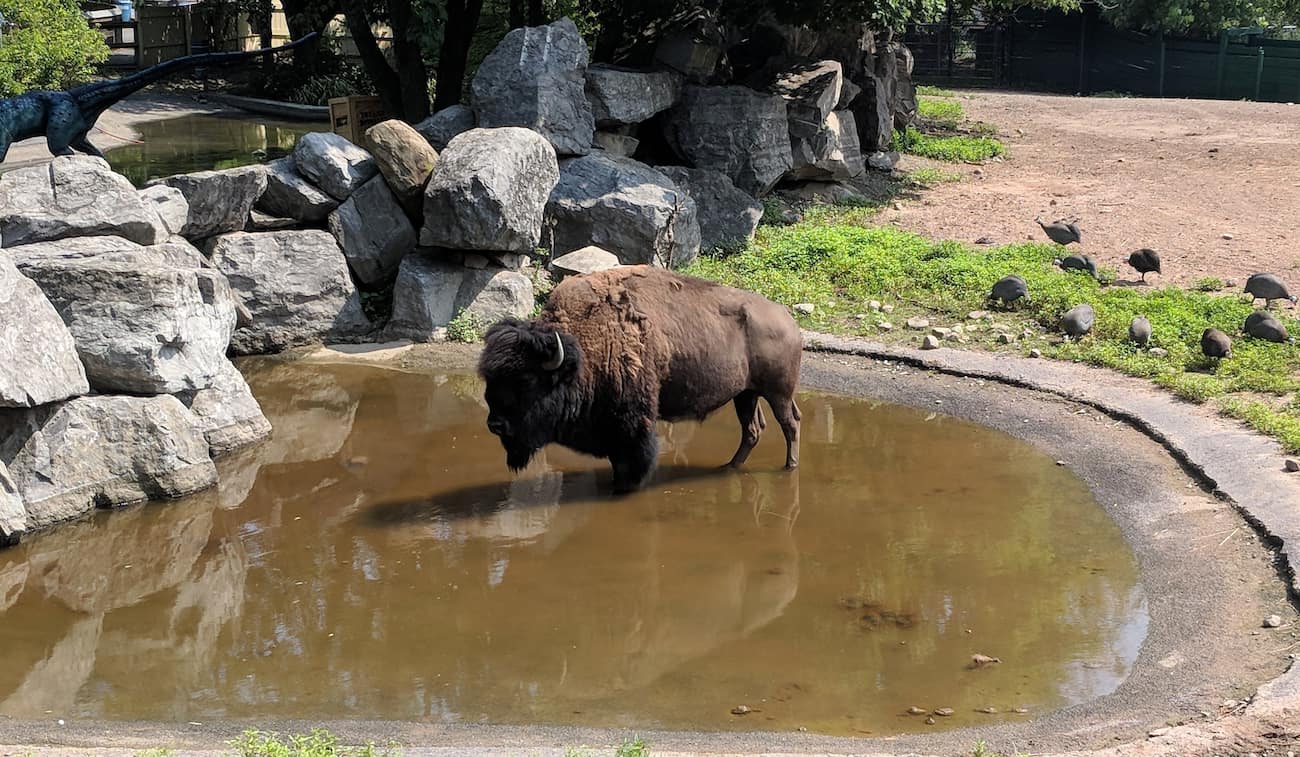 Rosamond Gifford Zoo