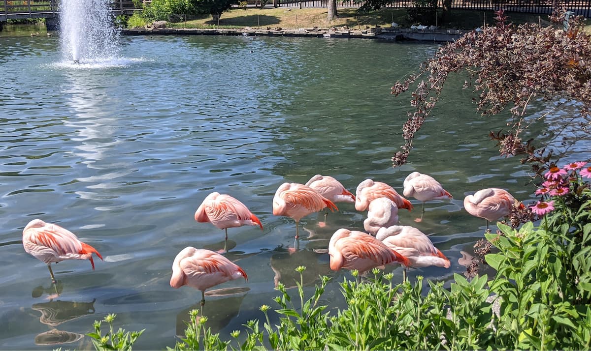 Rosamond Gifford Zoo