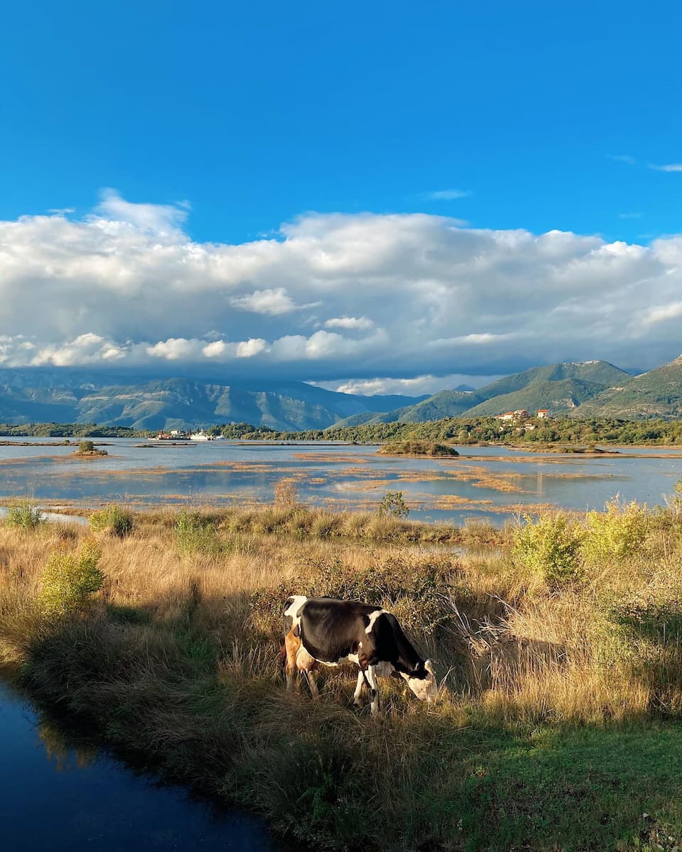 Solila Nature Reserve, Tivat