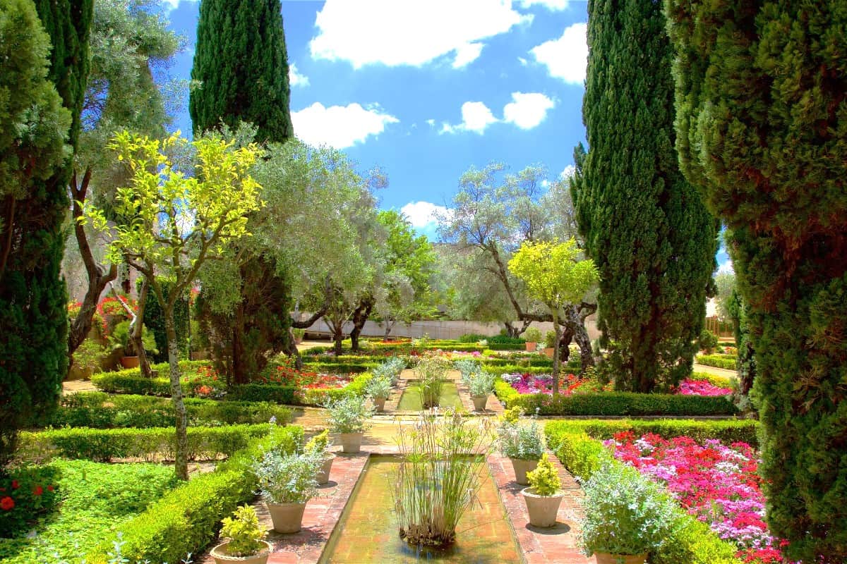 Spring Blooms in Jerez de la Frontera
