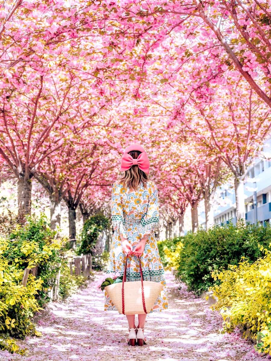 Spring Blooms in Le Marais