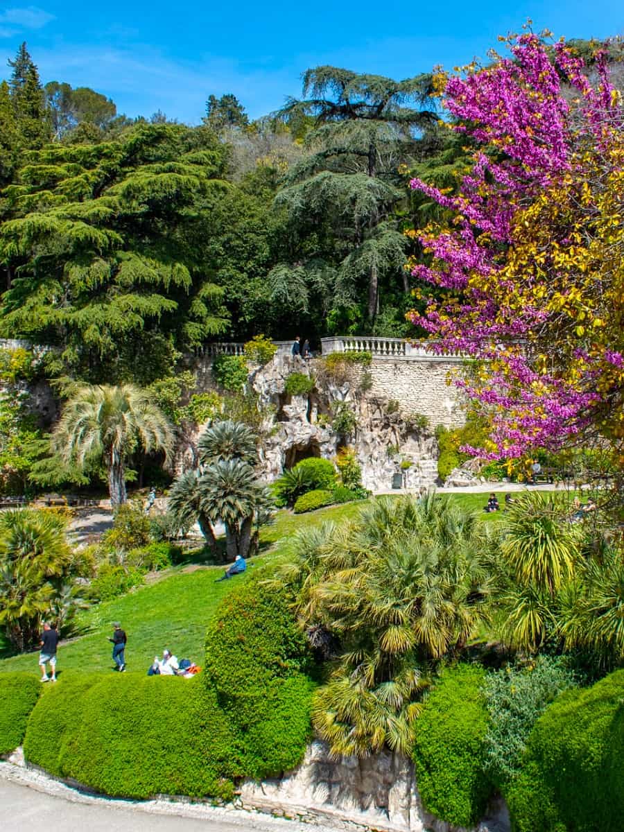 Spring Blooms in Nîmes