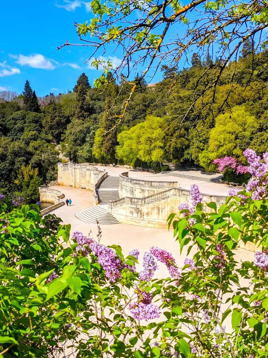 Spring Blooms in Nîmes