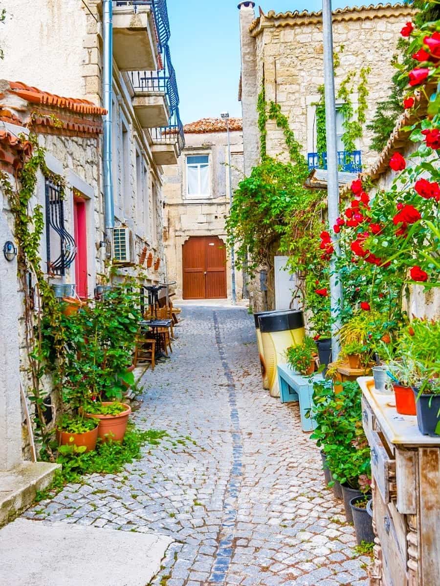 Spring Blooms in Trogir