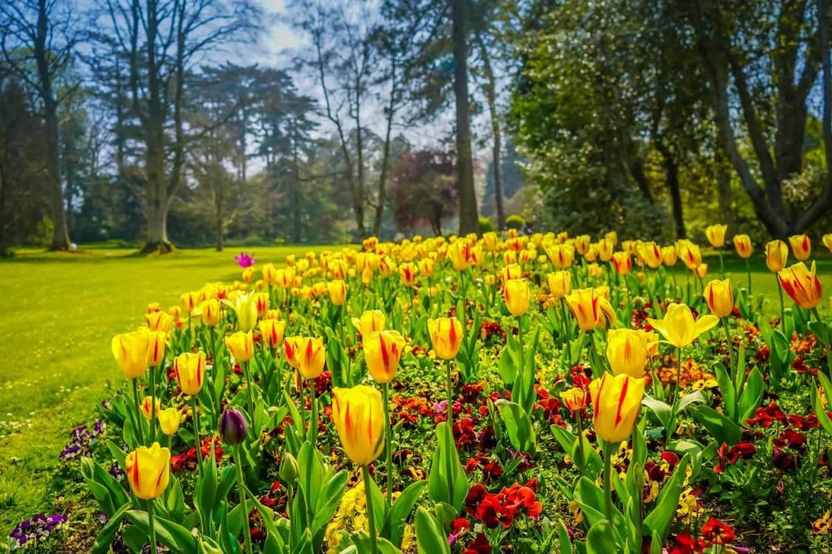 Spring in Bayeux's Botanical Garden