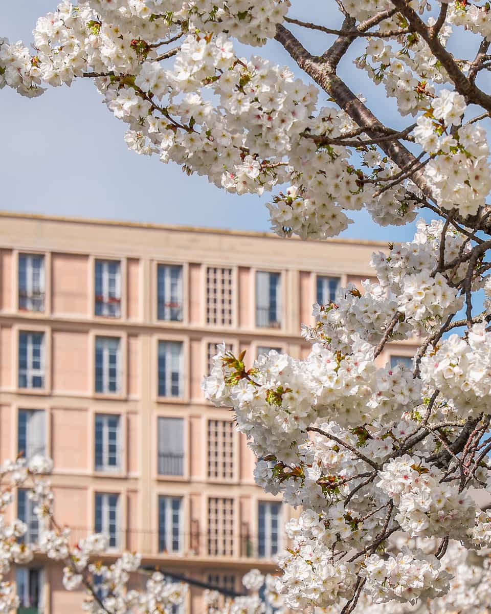 Spring in Le Havre