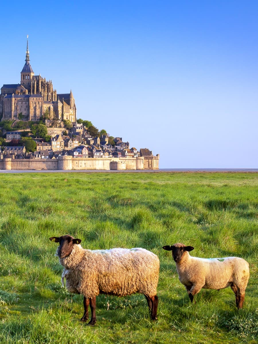 Spring in Mont-Saint-Michel