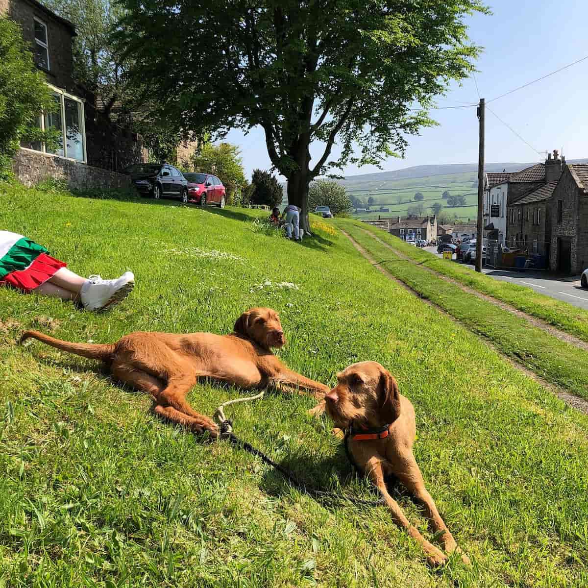 Summer Festivals and Events, Richmond