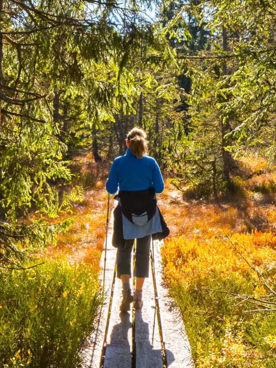 The Bavarian Forest National Park, Bavaria