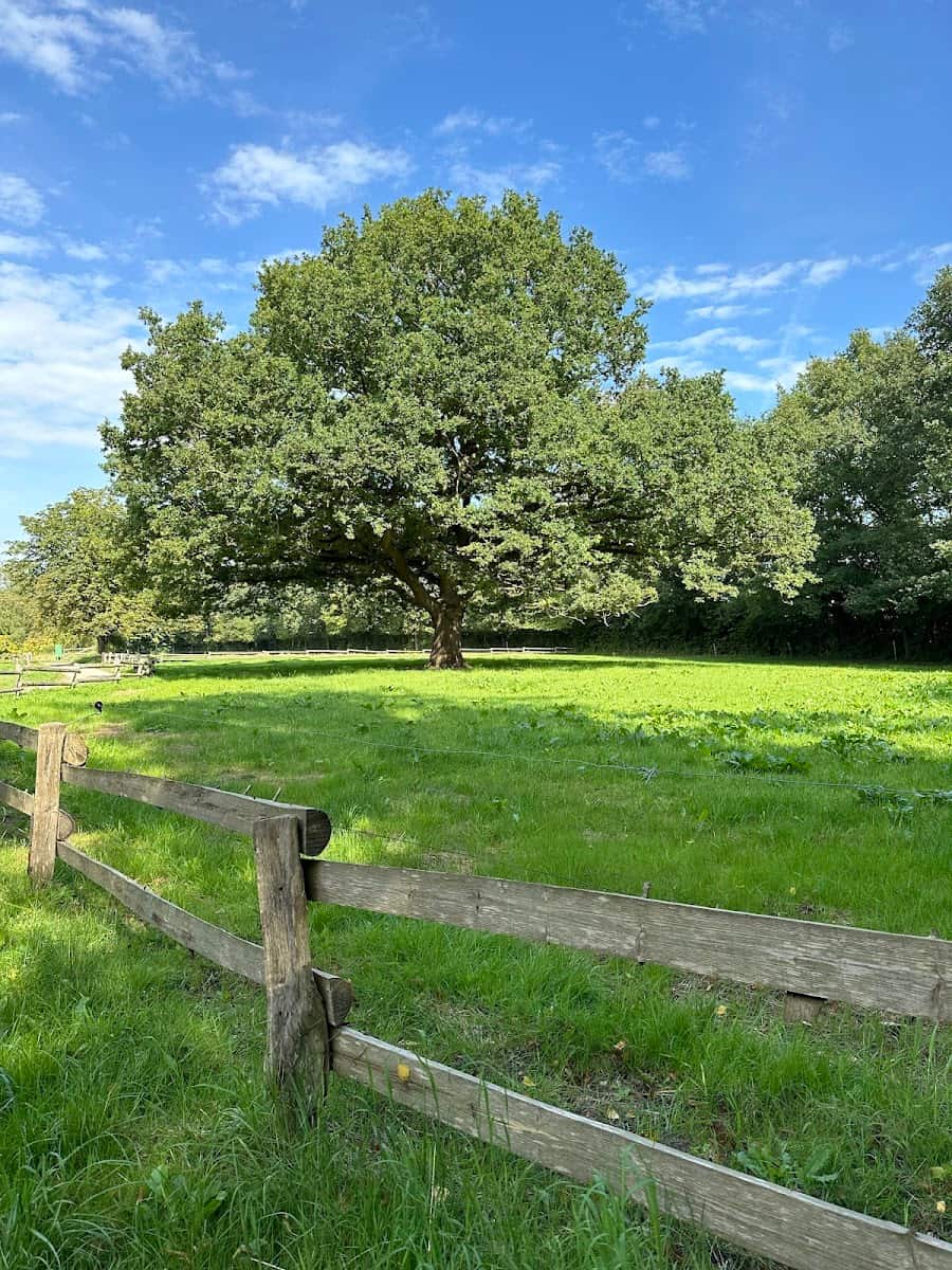 The Funen Village, Odense