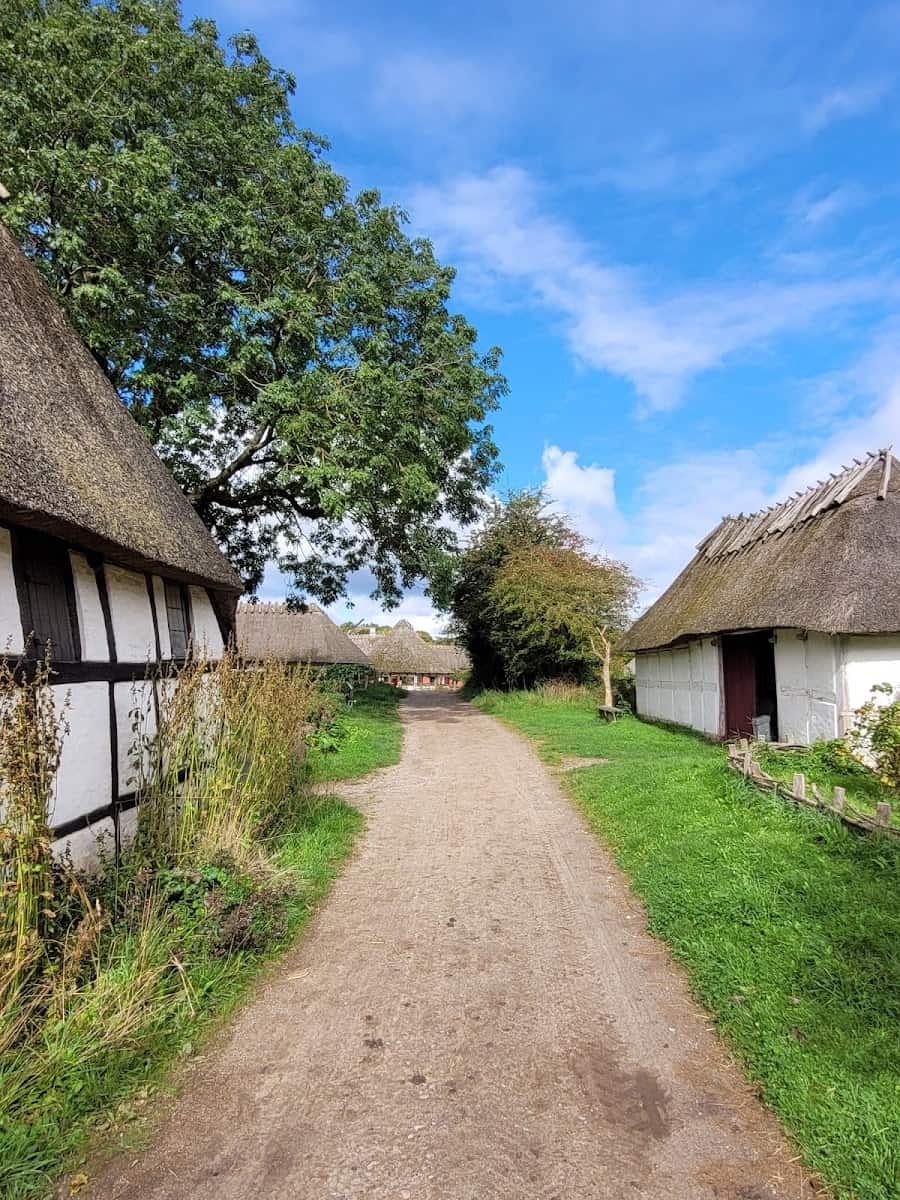 The Funen Village, Odense