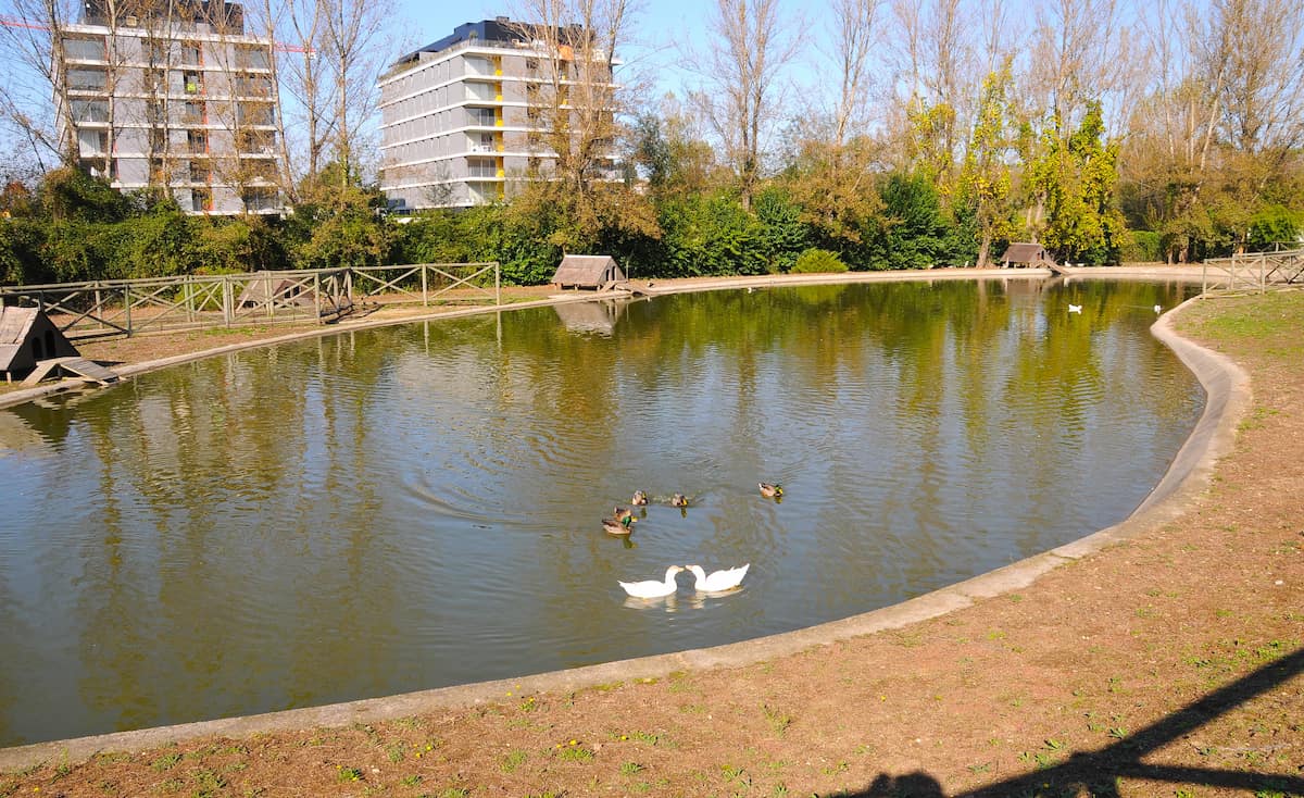 The Quinta Pedagógica de Braga