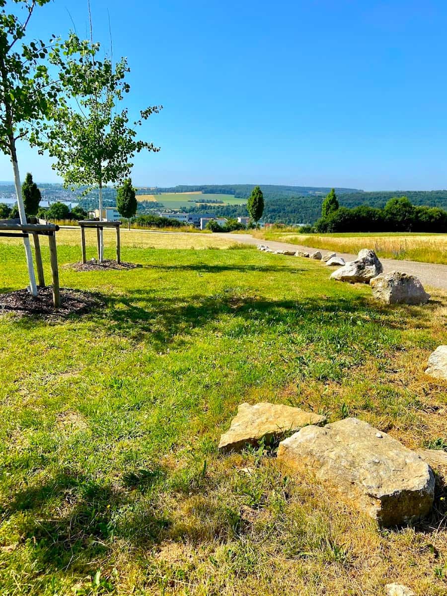 Ulmer Höhenweg, Ulm