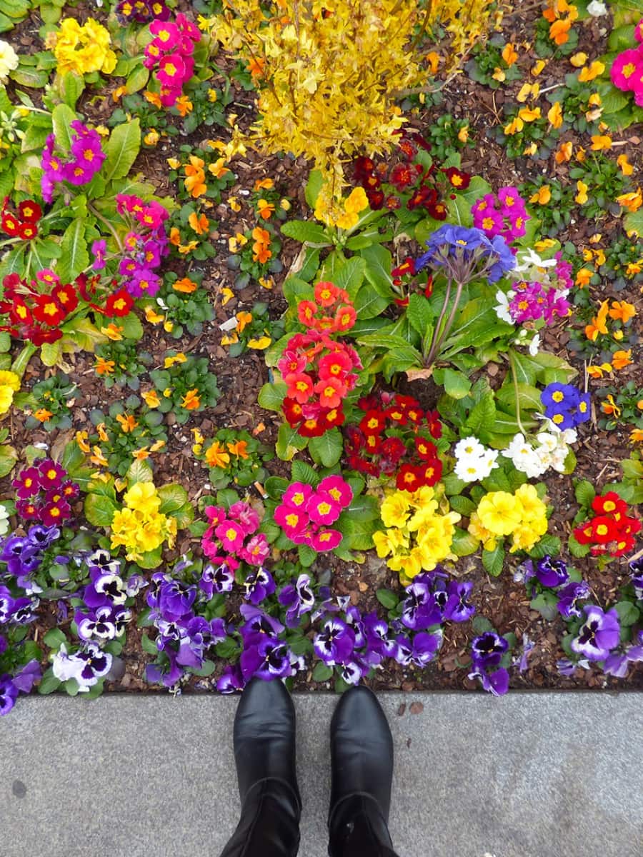University Botanical Garden, Passau