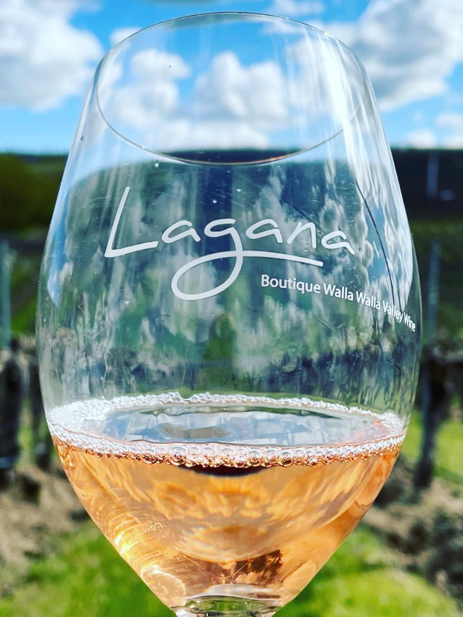 Wine Harvest, Laganas