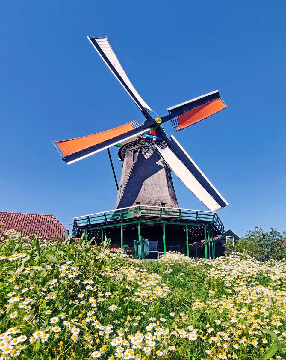 Zaanse Schans Windmills