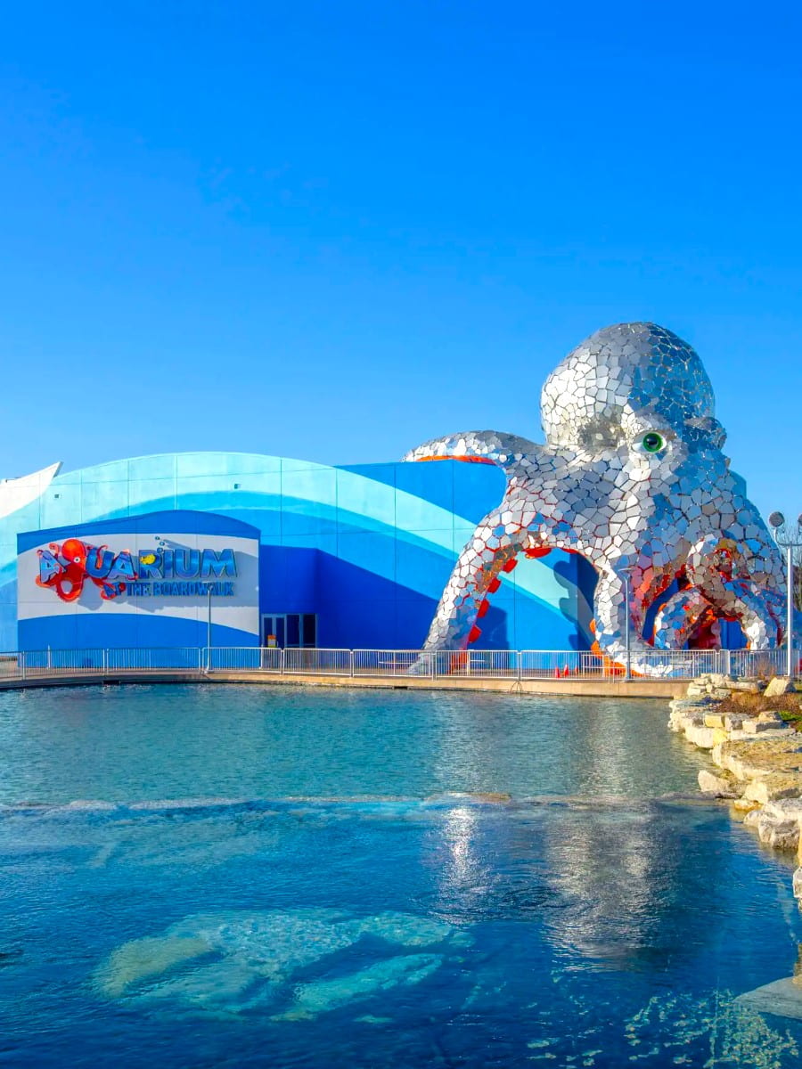Aquarium at the Boardwalk, Branson MO