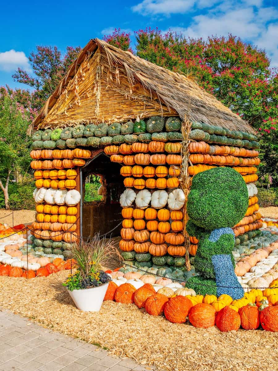 Autumn in Dallas Arboretum, Dallas