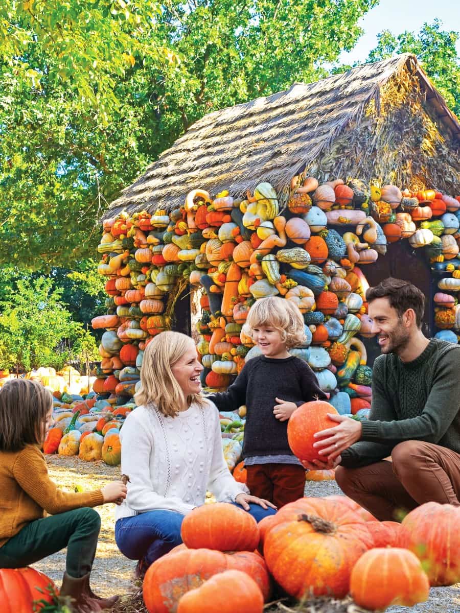 Autumn in Dallas Arboretum, Dallas