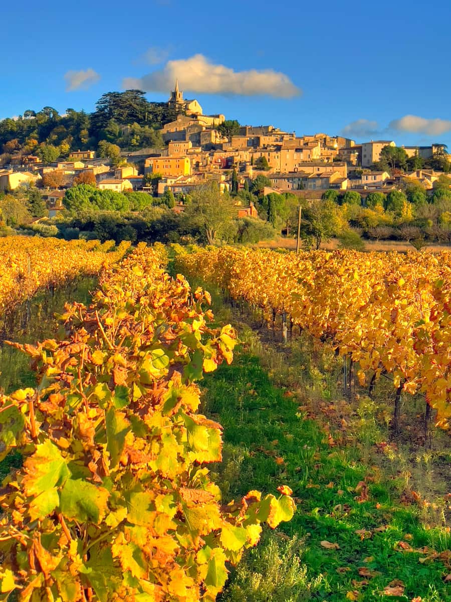 Autumn in Provence