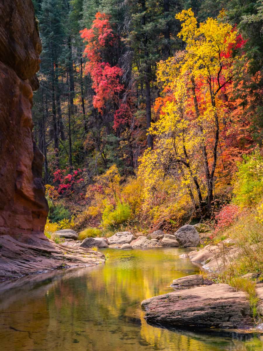 Autumn in Sedona