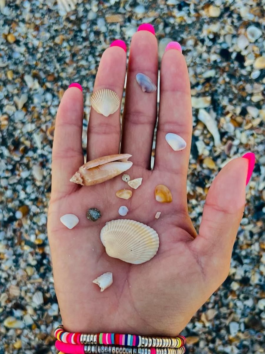 Beachcombing, Myrtle Beach, SC