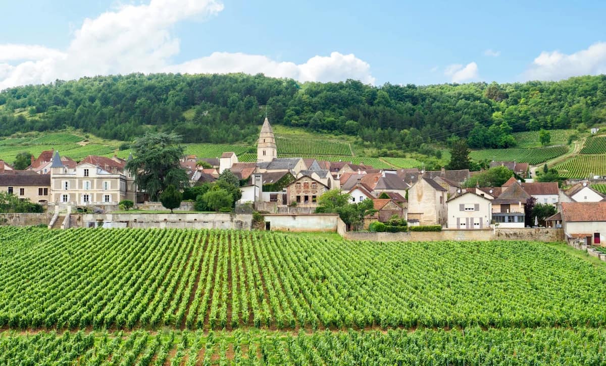Beaune Vineyards France
