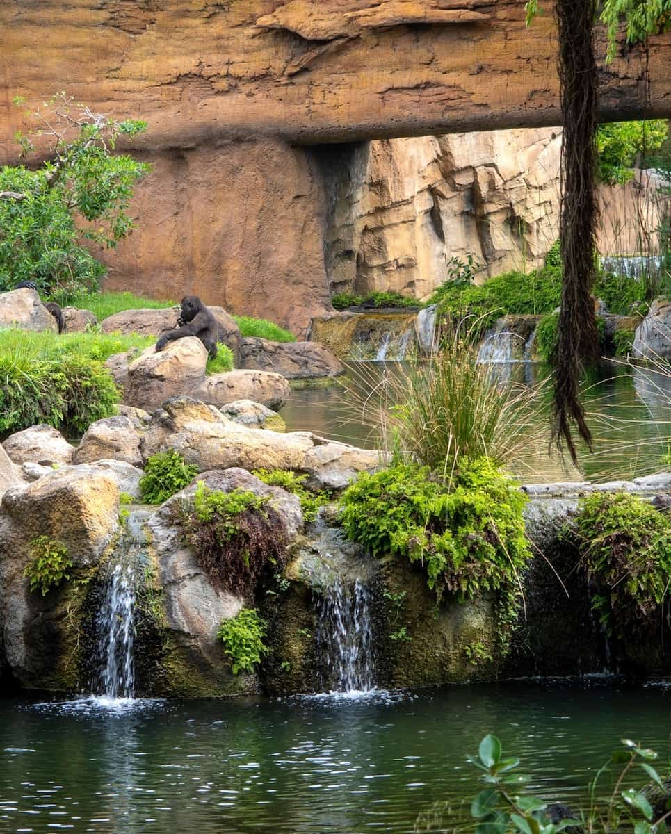 Bioparc Fuengirola, Andalusia