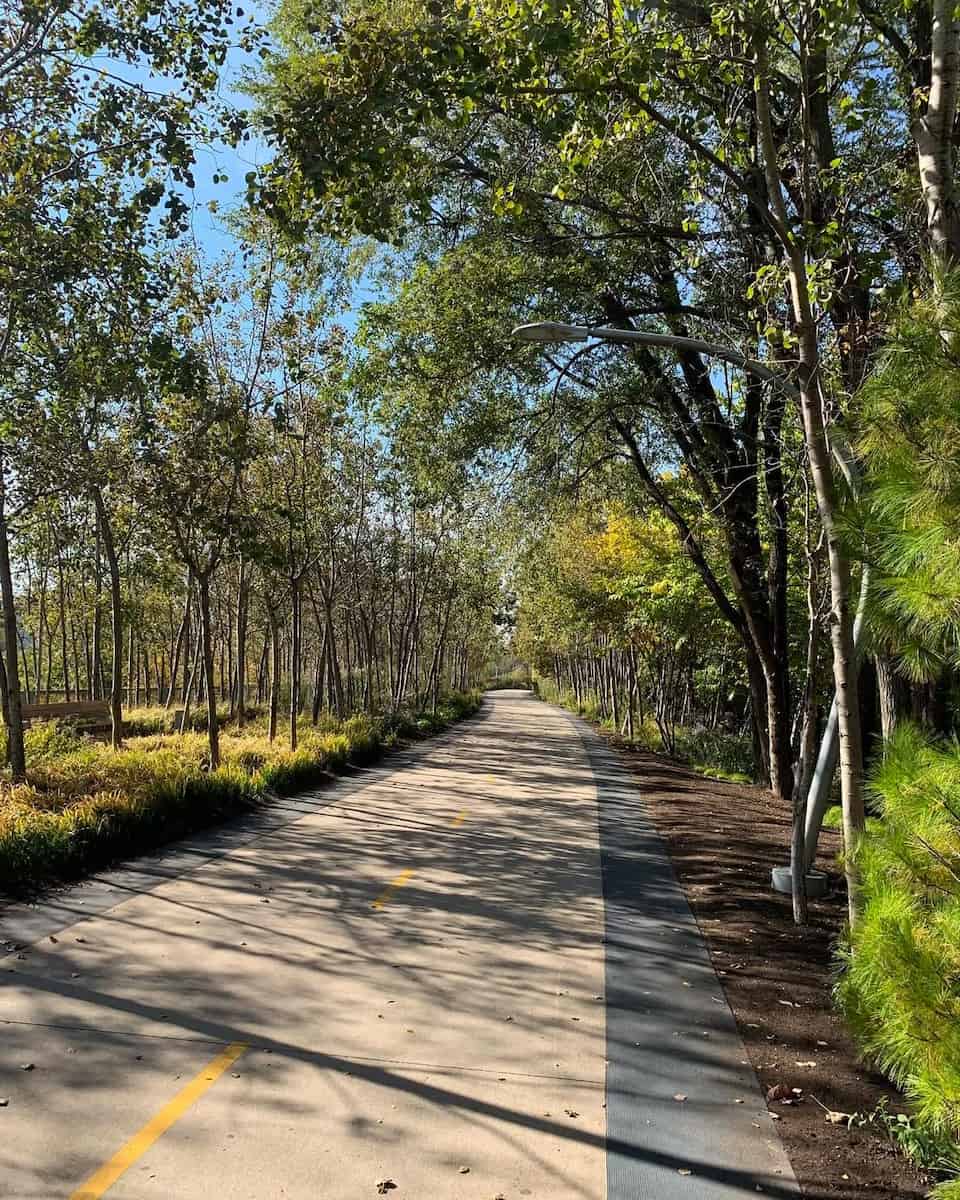 Bloomingdale Trail, Chicago