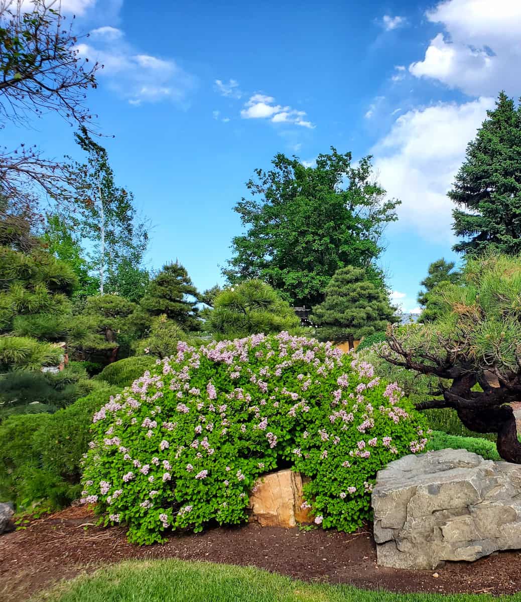 Botanic Gardens, Denver