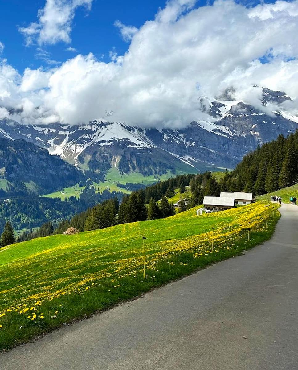 Brunni-Bahnen, Engelberg