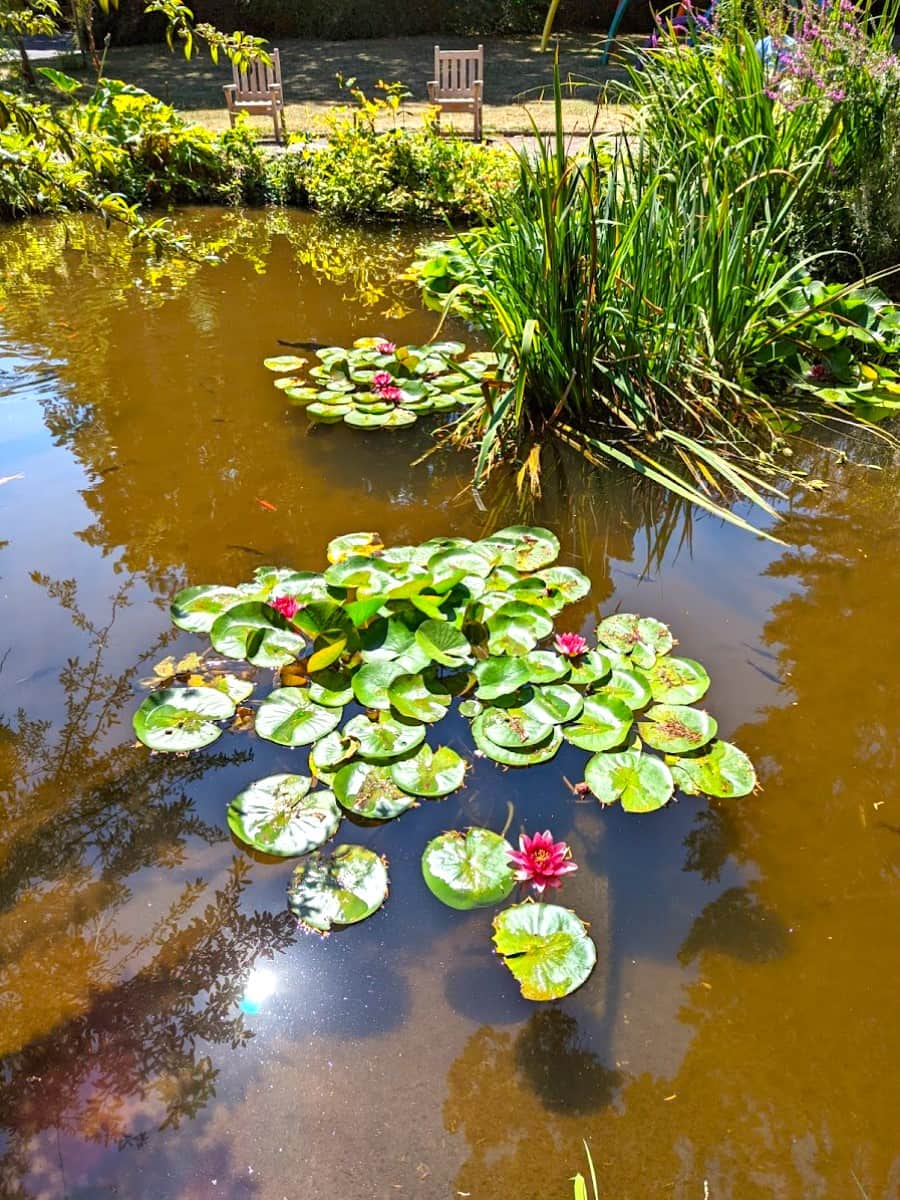 Caen Botanical Garden, Caen