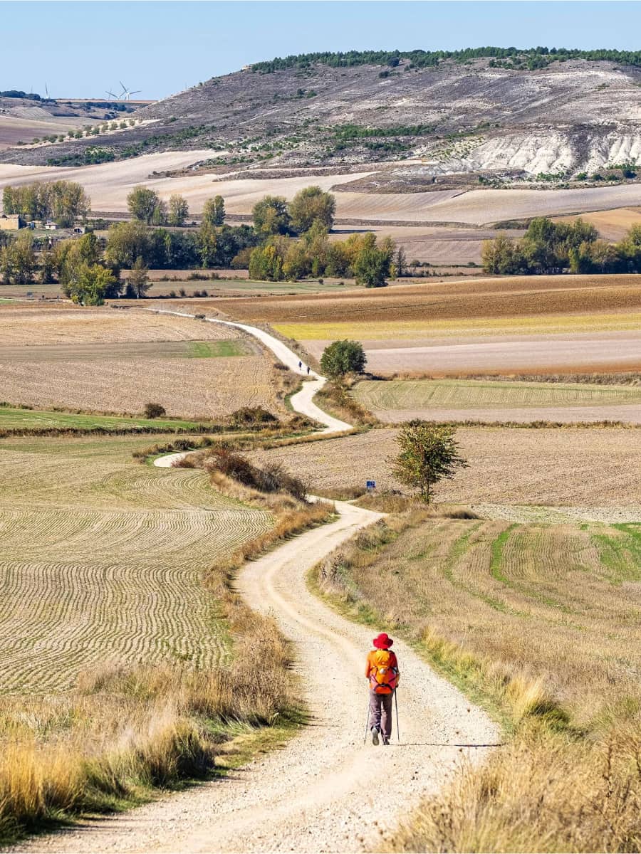 Camino de Santiago, Galicia