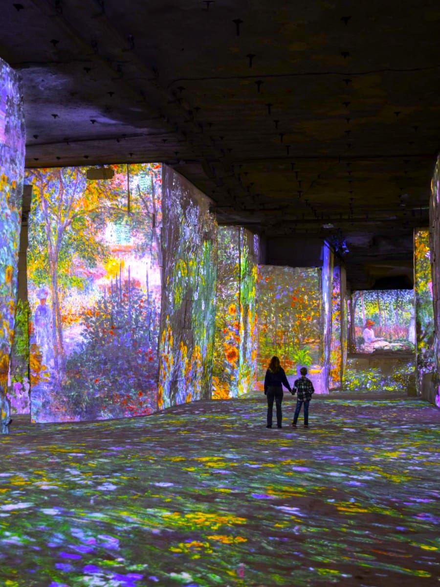 Carrières des Lumières, Provence