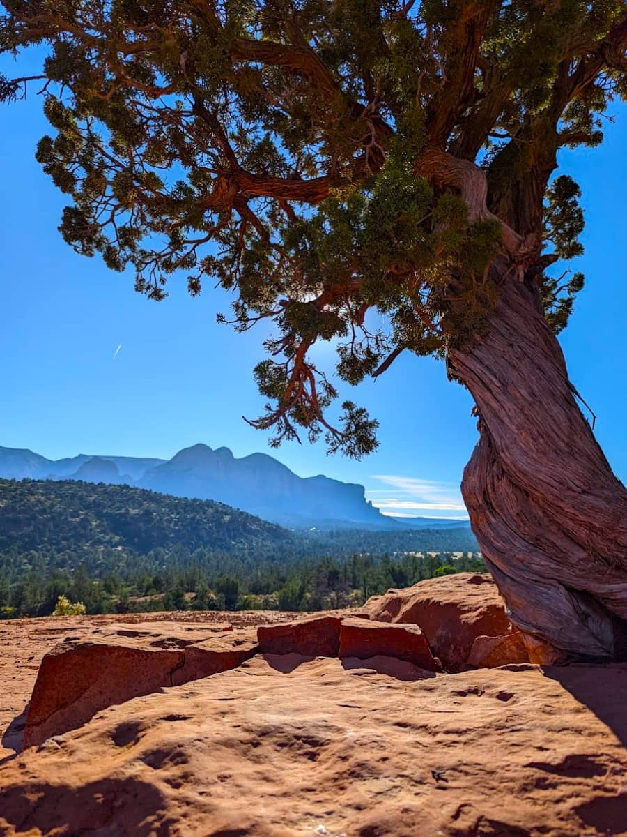 Cathedral Rock, Sedona