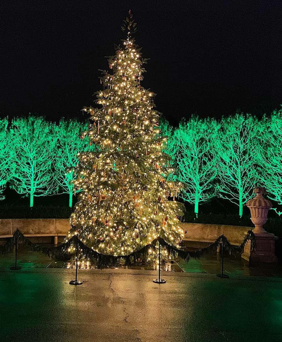 Christmas in Chicago