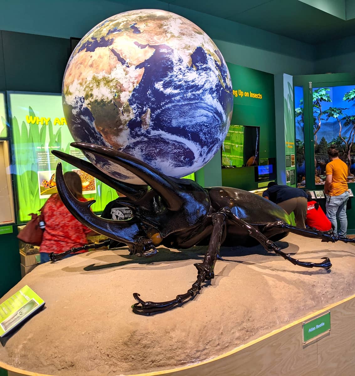 Cockrell Butterfly Center Houston 2