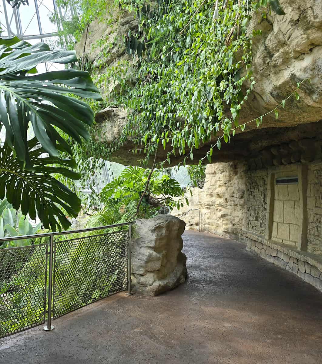 Cockrell Butterfly Center Houston 3