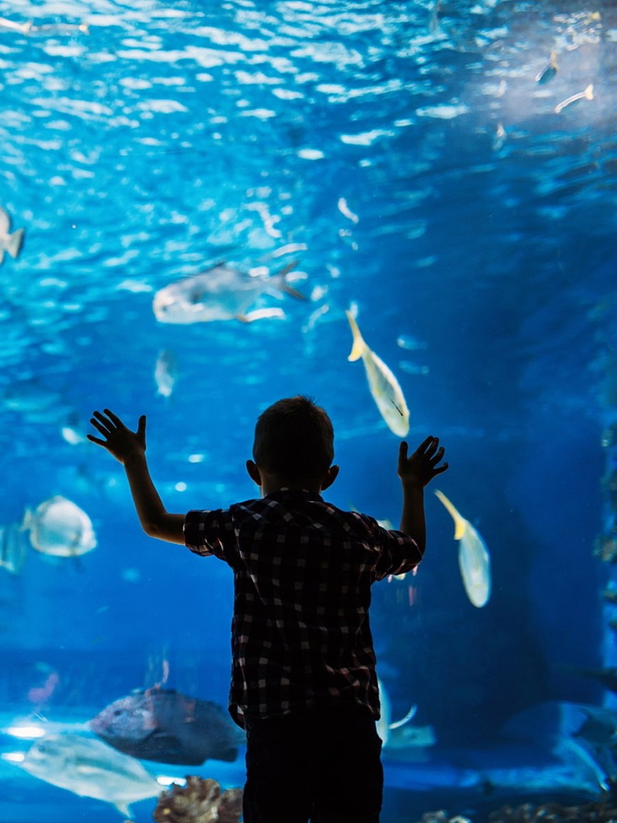 Inside of Dallas World Aquarium, Dallas
