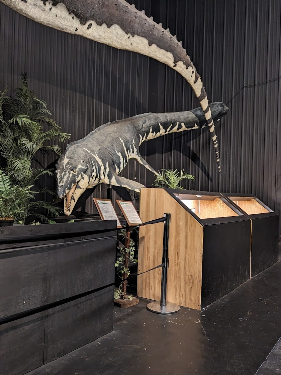 Inside of Dinosaur Museum, Branson MO