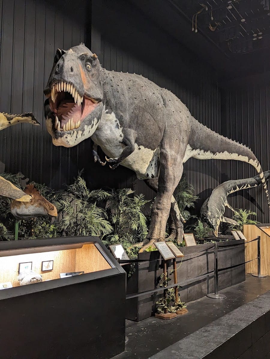 Inside of Dinosaur Museum, Branson MO