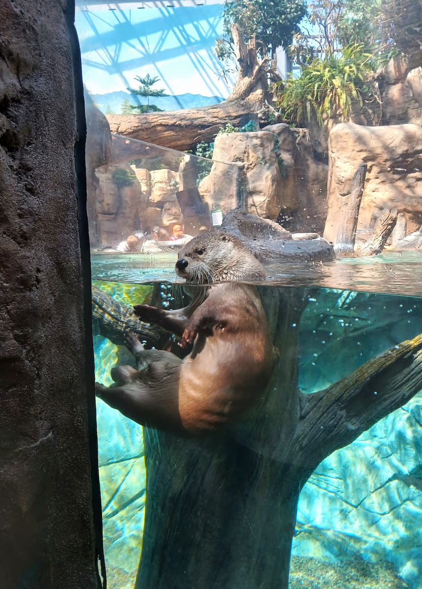 Downtown Aquarium, Denver