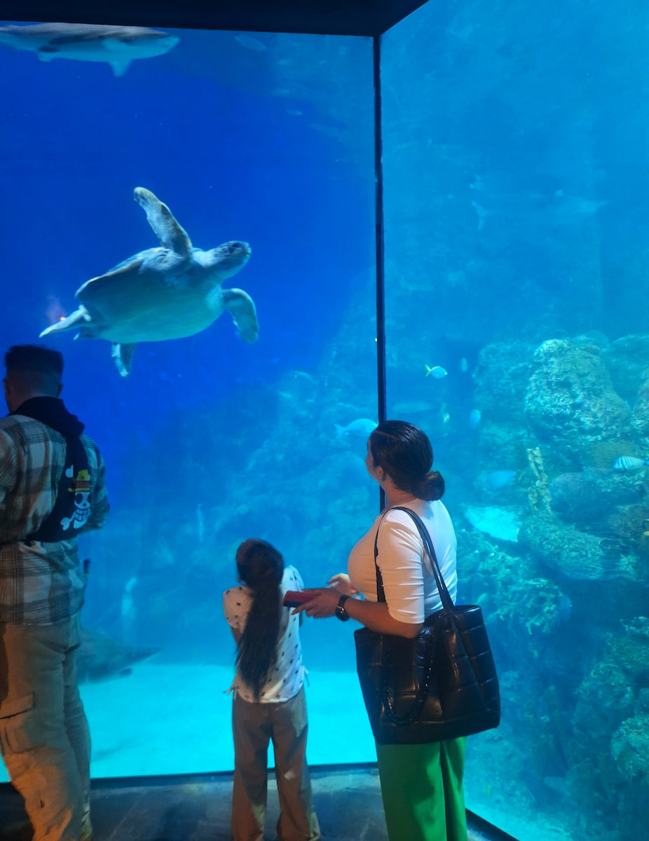Downtown Aquarium, Denver