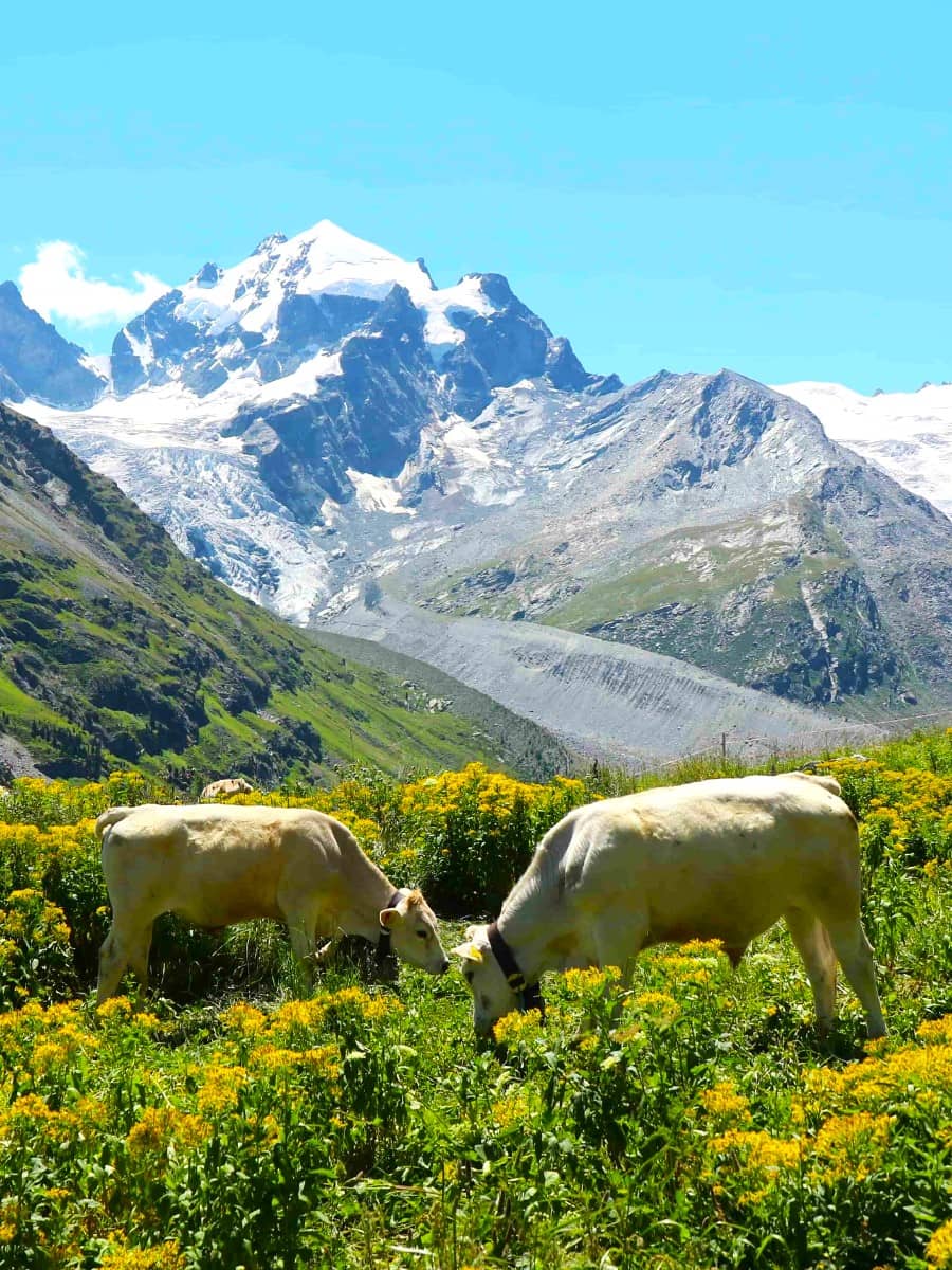 Engadin Valley, St Moritz