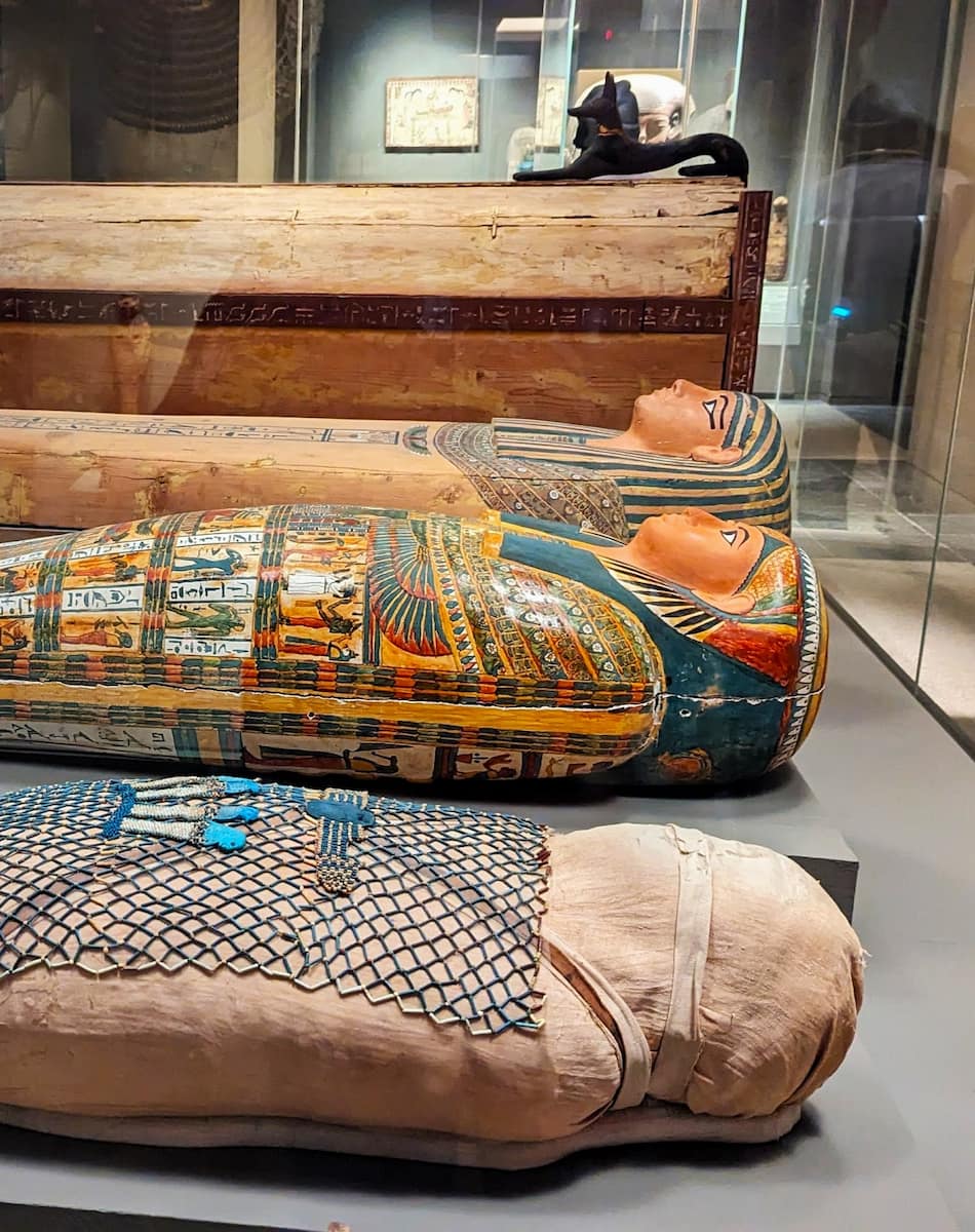 Exhibits in the Museum of Fine Arts