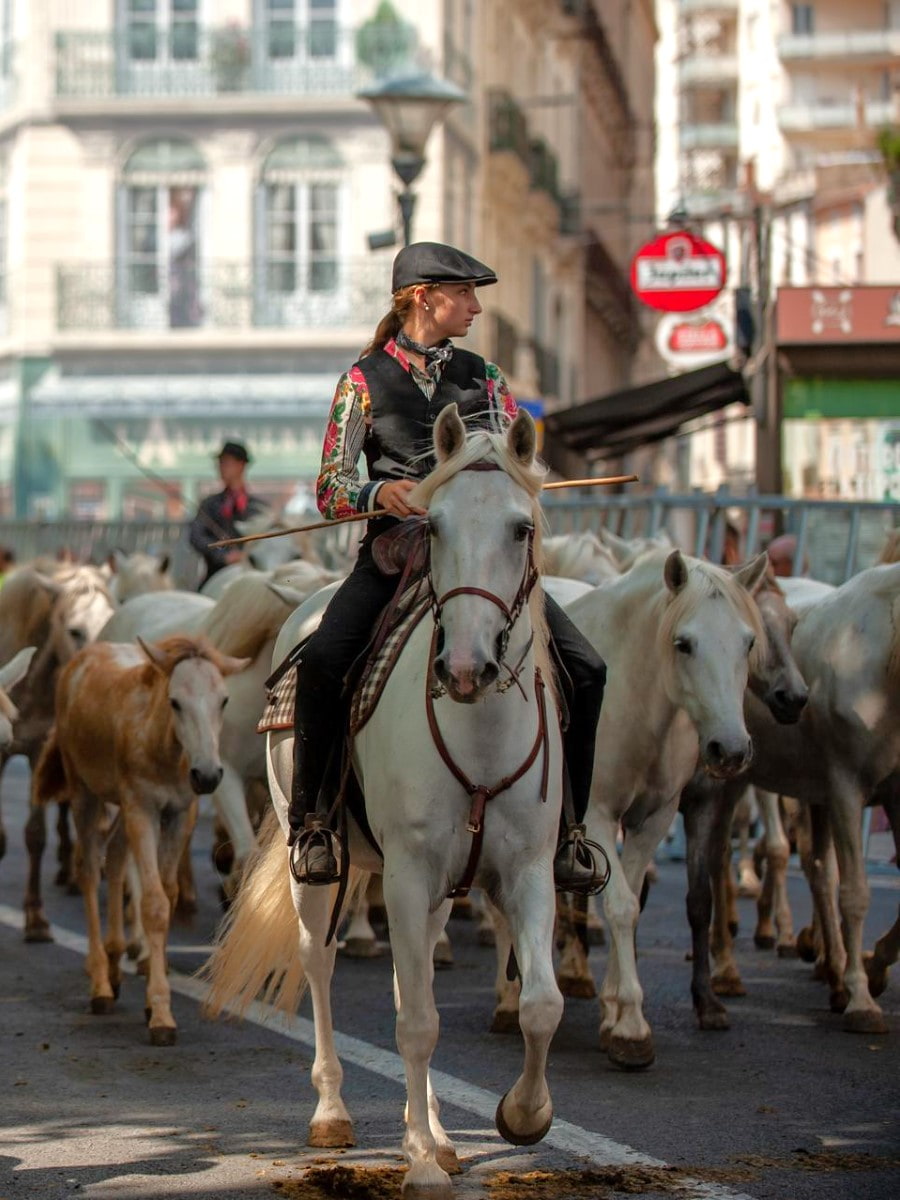 Féria de Béziers, Beziers