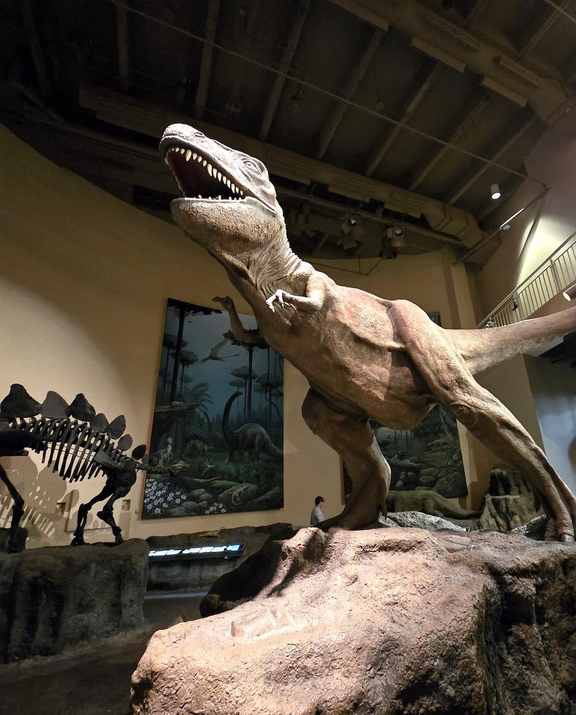 Fernbank Museum of Natural History Atlanta