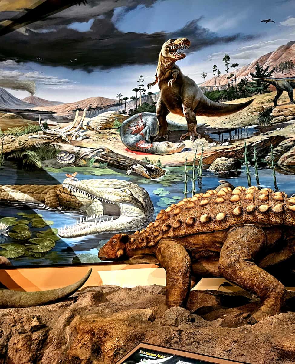 Fernbank Museum of Natural History Atlanta