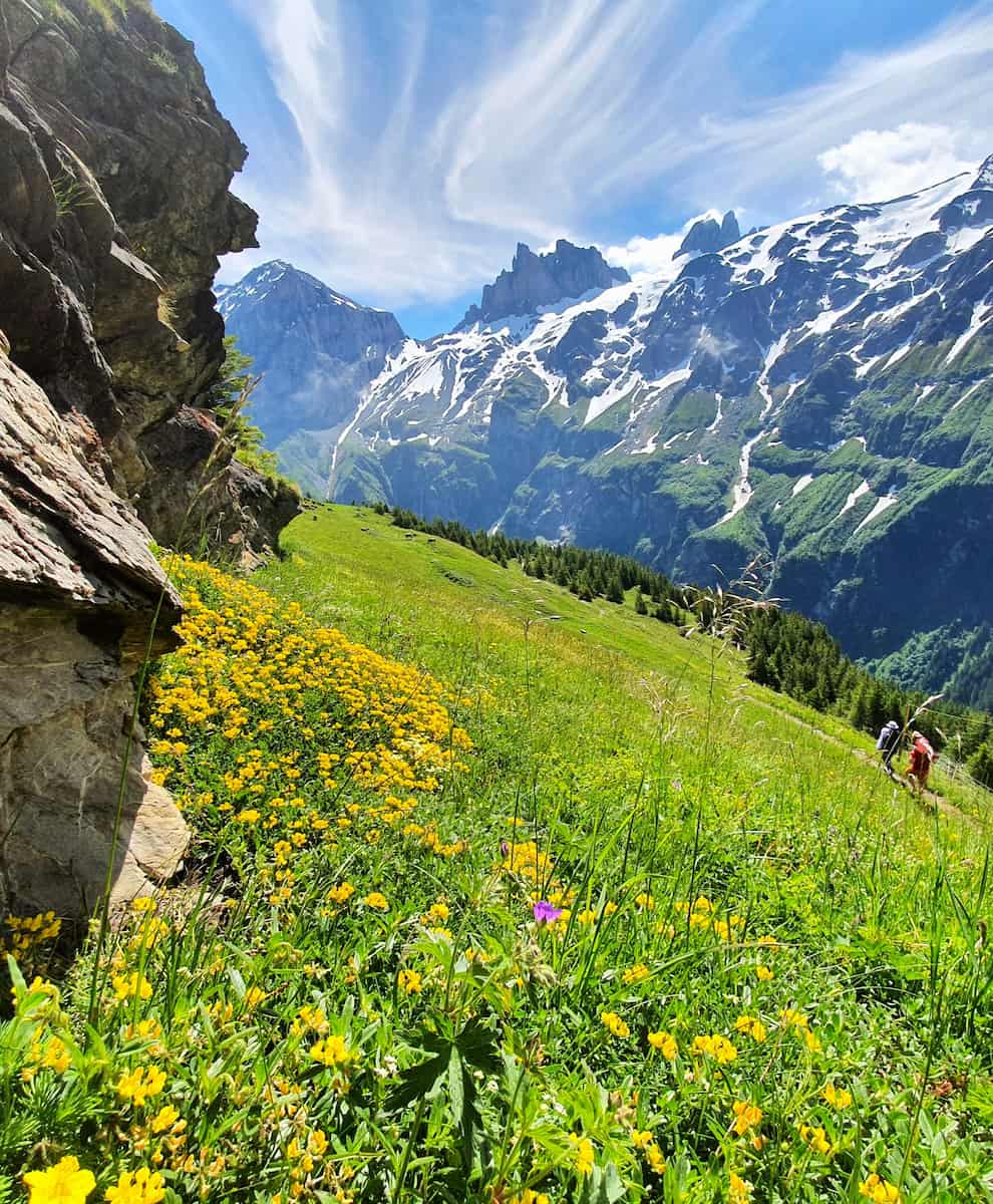 Fürenalp, Engelberg