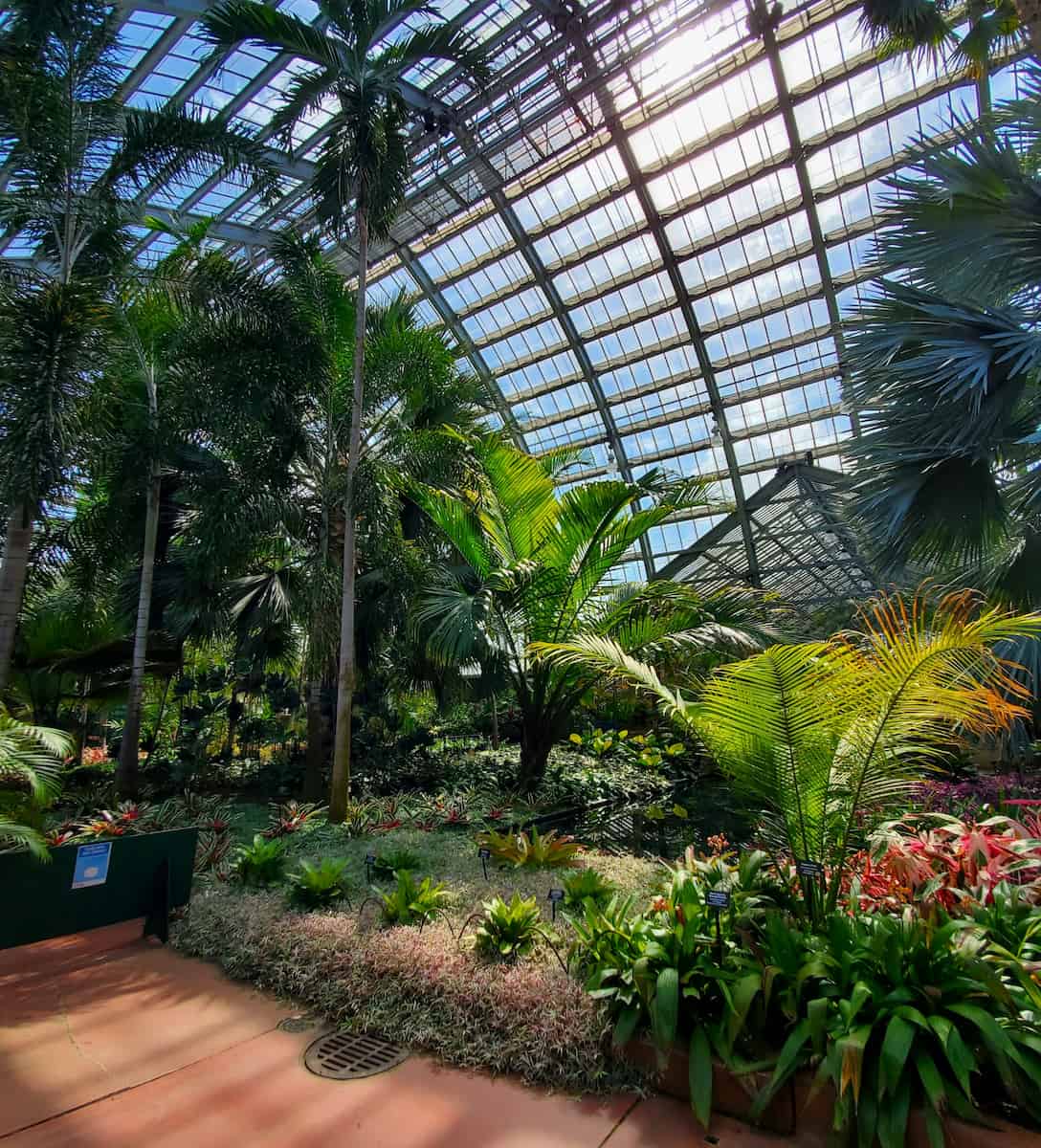 Garfield Park Conservatory, Chicago